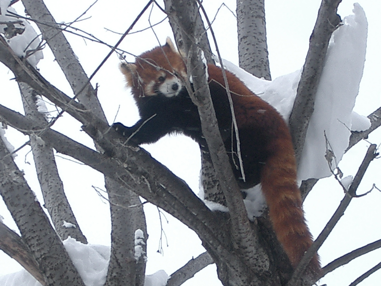 大阪･旭川ホームページ作成 かんたん更新機能付WEBサイト