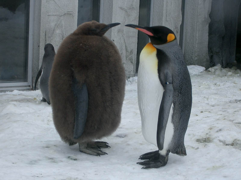 関西･北海道webサイト作成 簡単更新機能付WEBサイト