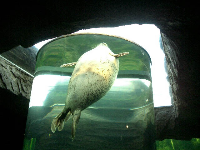 大阪･旭川ホームページ作成 予約機能付WEBサイト