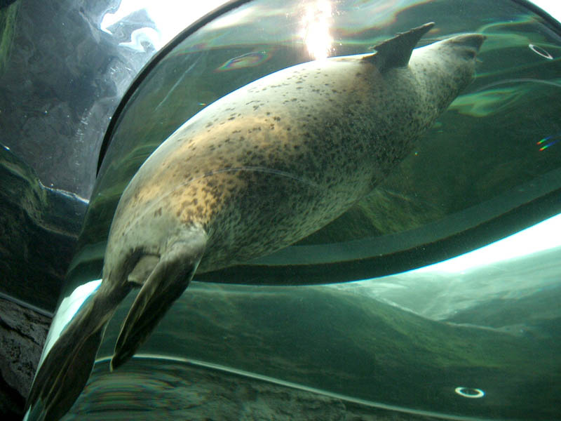 大阪･旭川web制作会社 予約&更新システム付サイト