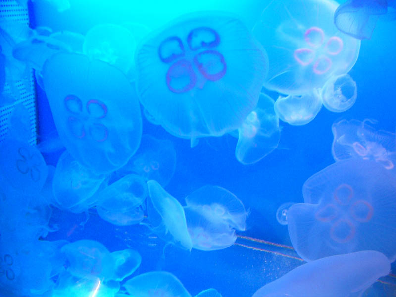 大阪･旭川ホームページ作成 予約&更新システム付サイト